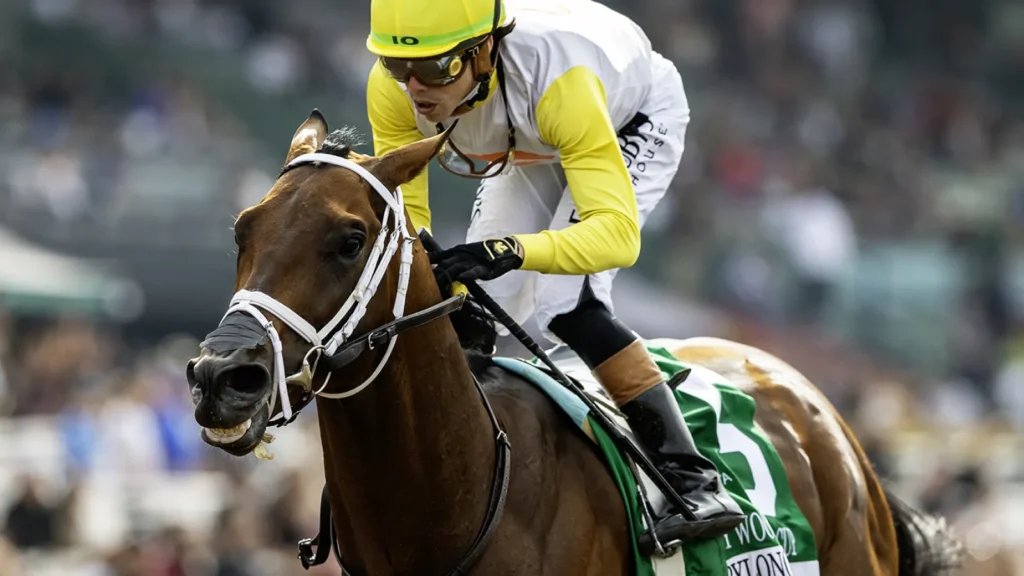Breaking from Santa Anita: Skippylongstocking Out of the Big ‘Cap After Flight Removal skippylongstocking ins1 200.jpg