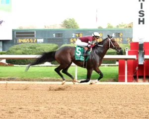magnitude the razorback handicap g3 02 28 26 r10 oaklawn park finish 01 kurtis coady 180388 scaled.jpg