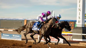 88696078007 21526 sunland park horse races ipa 05.jpg