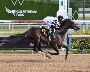 chief wallabee 2026 ac gulfstream park 2credit lauren king 75a4759888.jpg