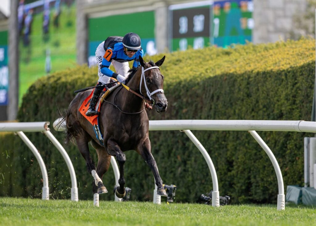 inourtimegiantscauseway4 12 26kld10584 keeneland photo print25