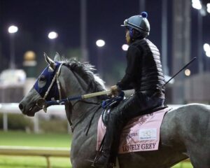 lovely grey gallop churchill downs 04 21 26 01 renee torbit scaled