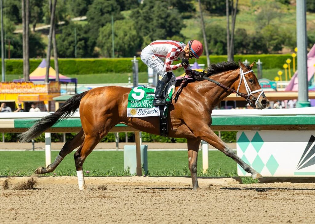 meaning 2026santaanitaoaks benoit1280