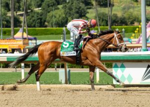 meaning 2026santaanitaoaks benoit1280