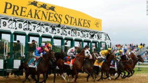 pimlico race course