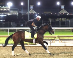 silent tactic gallop churchill downs 04 22 26 01 renee torbit scaled