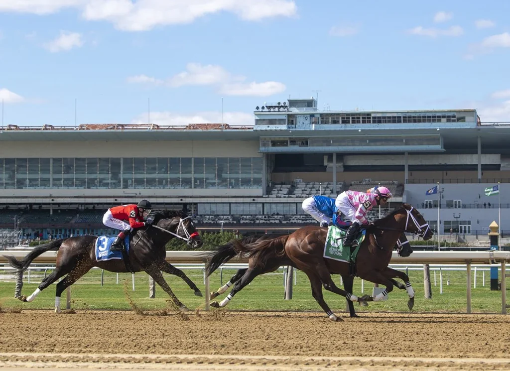 aqu26 backstretch.jpg