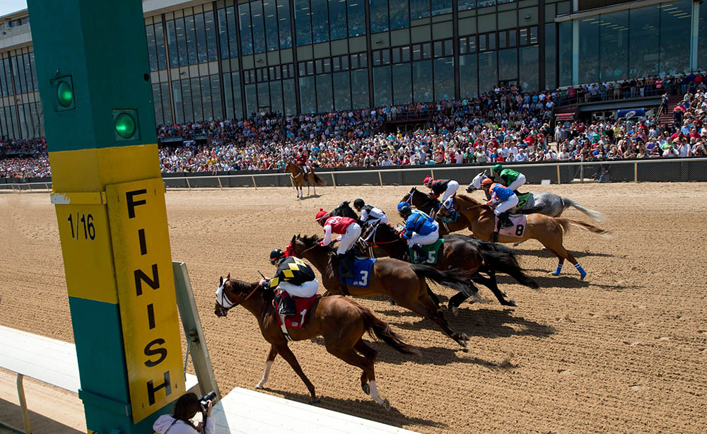 Q and A Racing oaklawn 16th