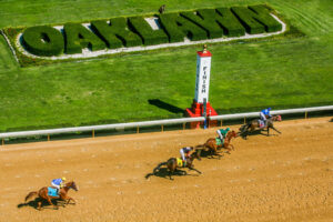 oaklawn finish hedges