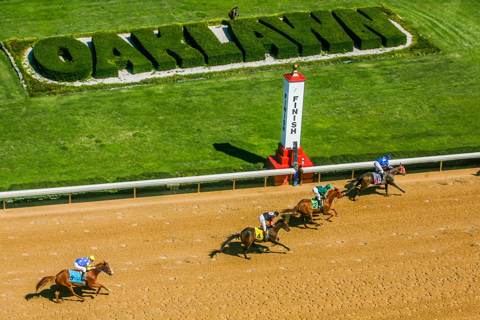 oaklawn finish hedges