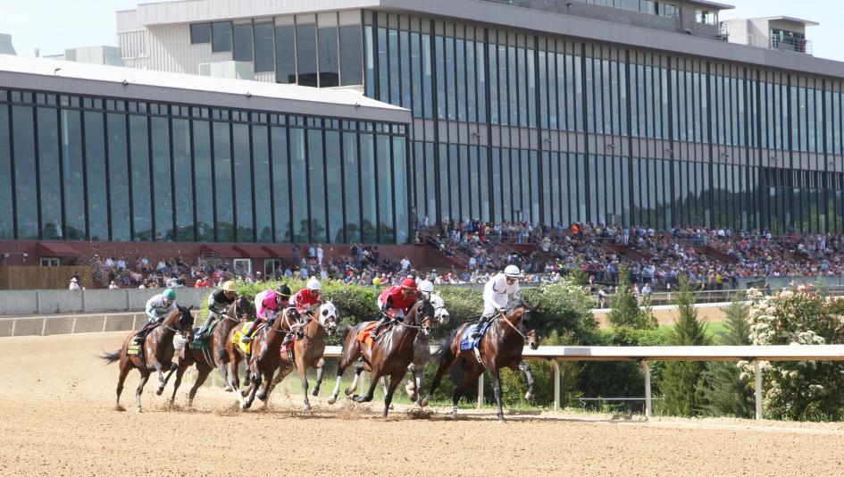 oaklawn horses