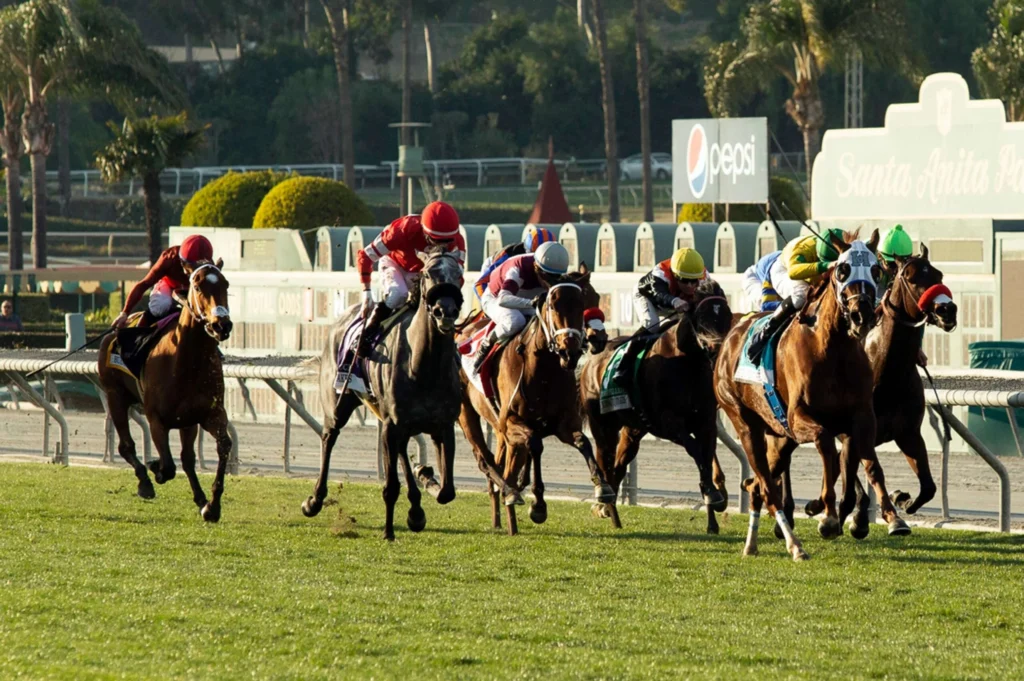 santa anita turf stretch scaled.jpg