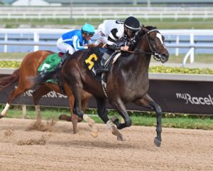 chief wallabee 2026 ac gulfstream park credit ryan thompson2