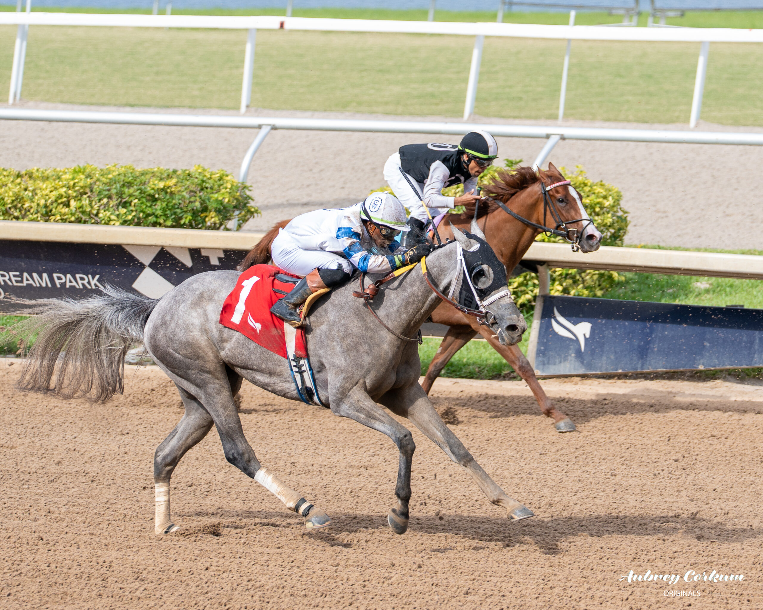 Q and A Racing may2026