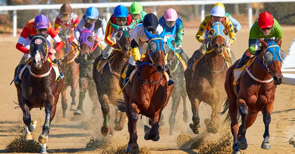 Quills Picks Winners – Monday 5/11 – Louisiana Downs Race 2 lad turn