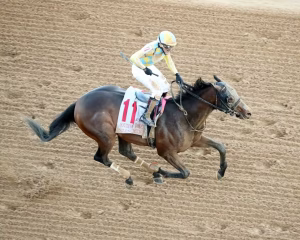 silent tactic southwest 2026 cm oaklawn park8 5b6206f850.jpg