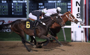 asd finish2