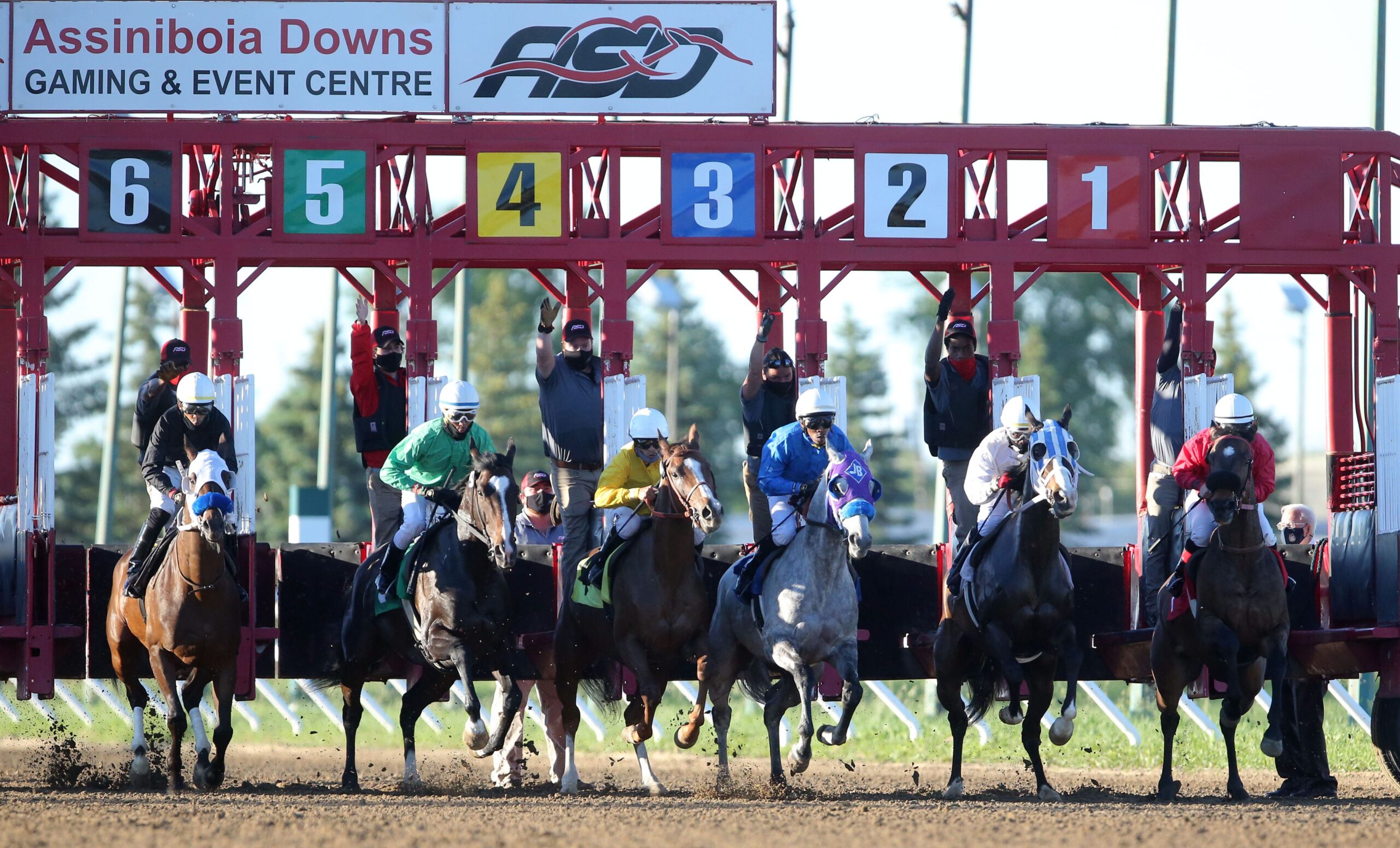 Quills Picks Winners – Tuesday 5/12 – Assiniboia Downs Race 6 asd26 gate1