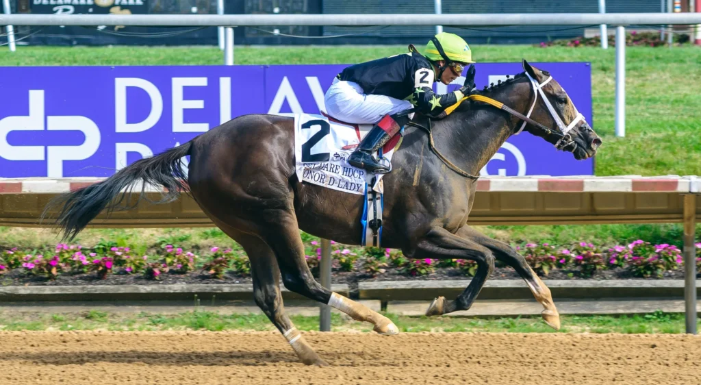 Quills Picks Winners – Wednesday 5/20 – Delaware Park Race 7 del26 delcap