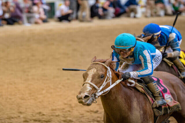 hero horse race 640x427