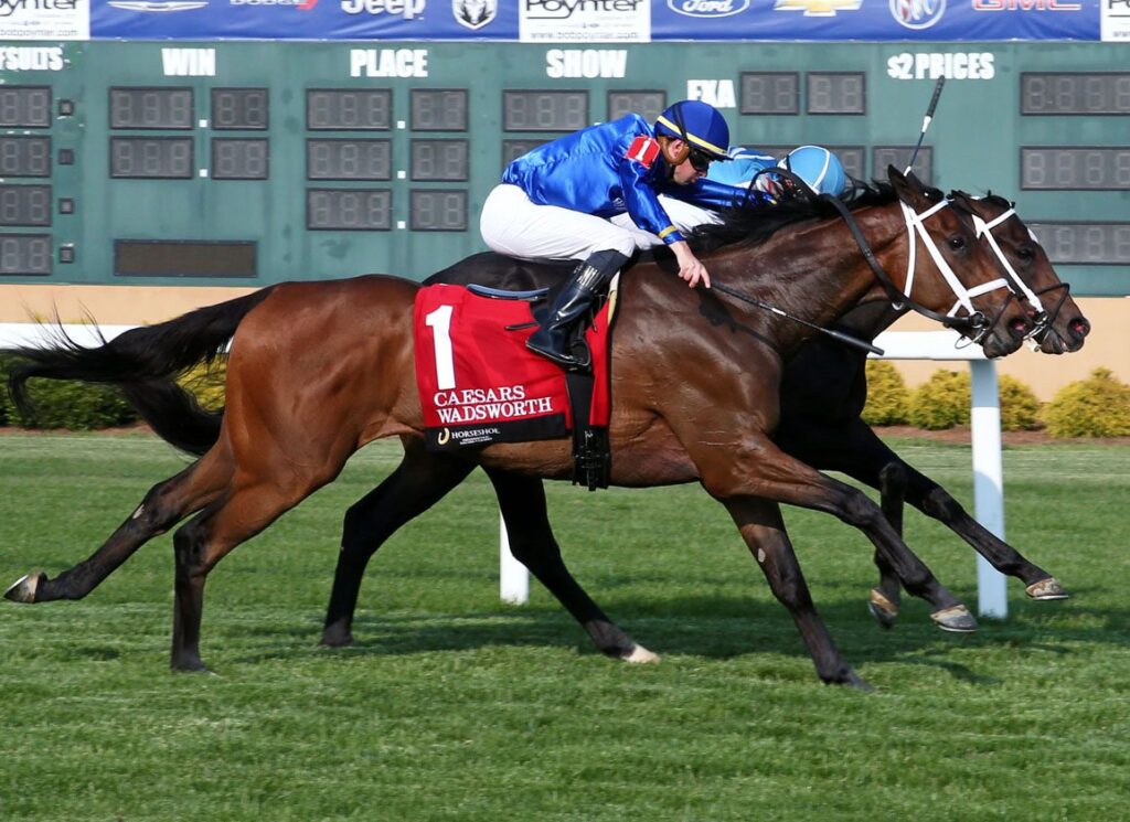 hsi turf stretch