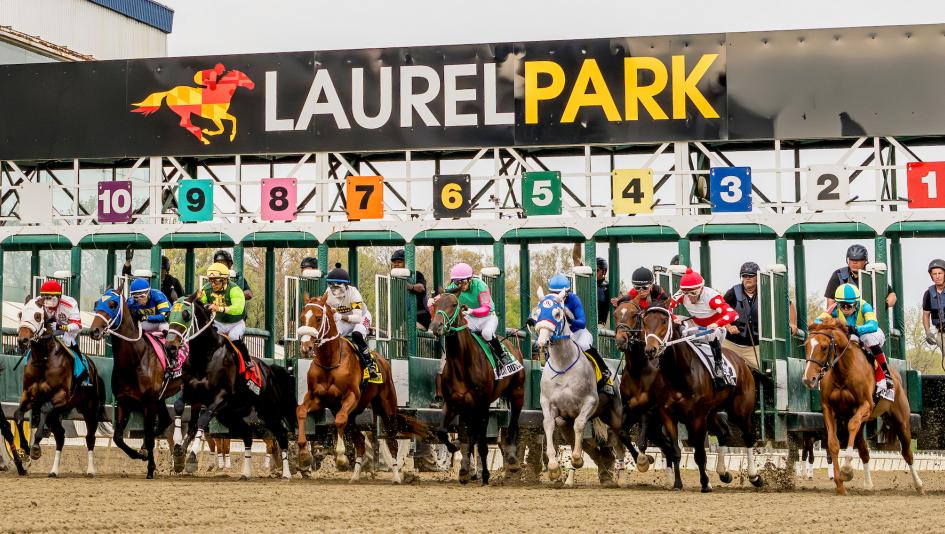 Quills Picks Winners – Saturday 5/16 – Preakness 151 at Laurel lrl26 dirt gate2