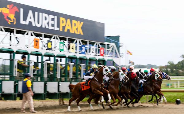 Quills Picks Winners – Saturday 5/16 – Preakness 151 at Laurel lrl26 dirt gate3