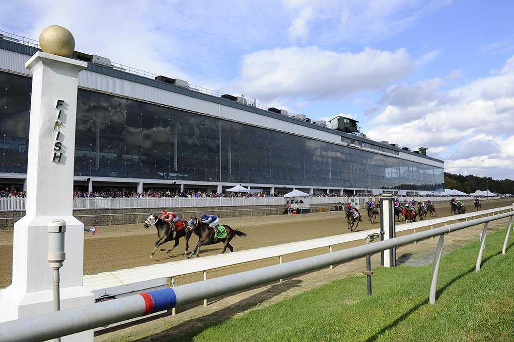 Quills Picks Winners – Saturday 5/16 – Preakness 151 at Laurel lrl26 stretch