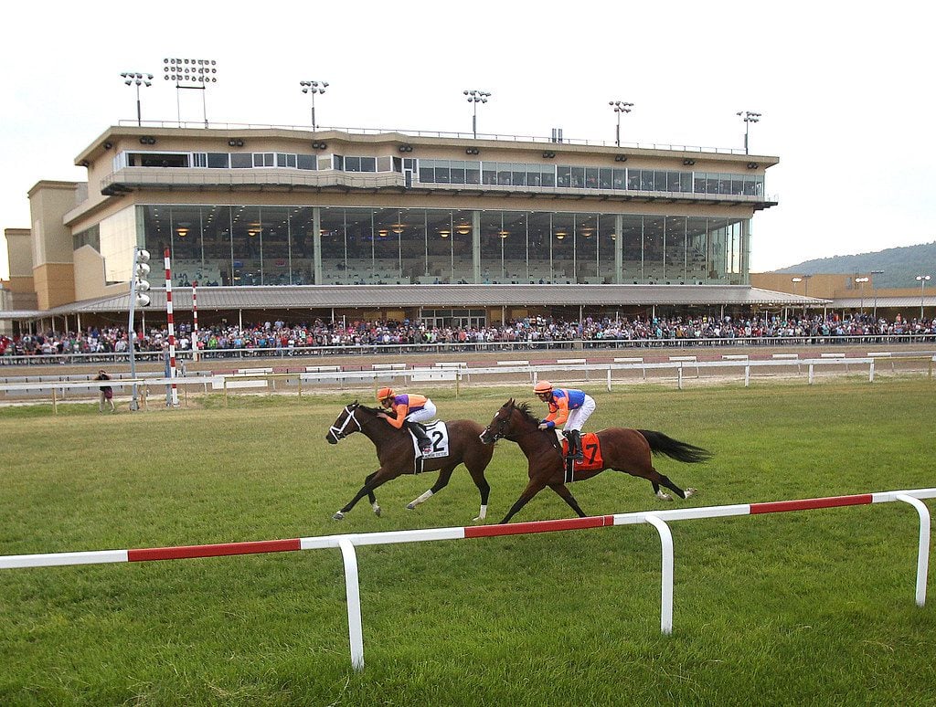 pennturf1