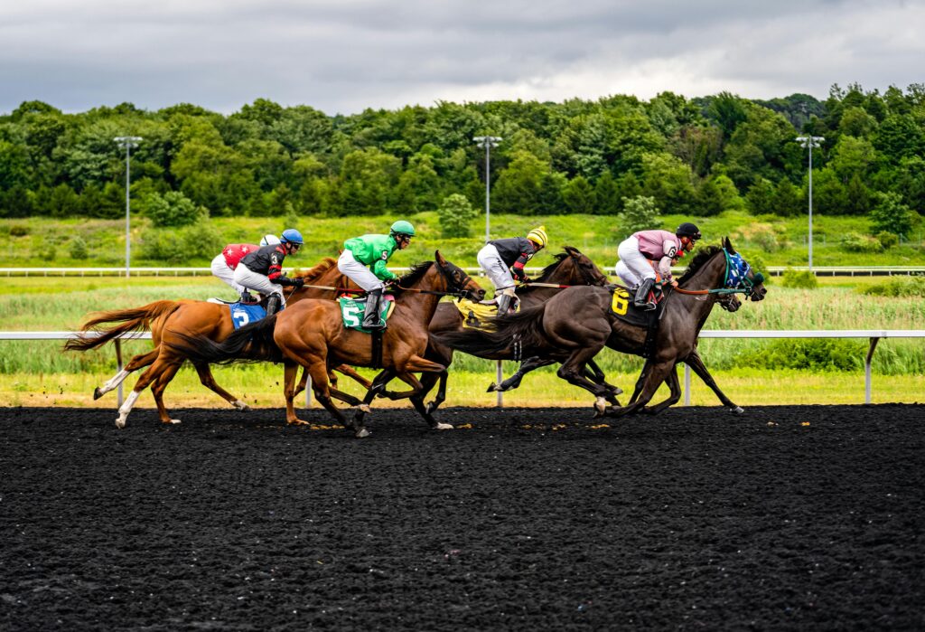 Horse racing action with jockeys and horses competing on racetrack in Erie, PA.