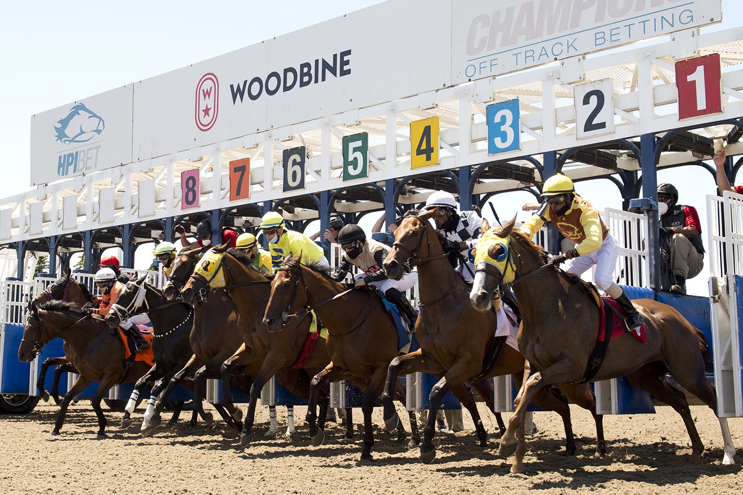 Quills Picks Winners – Sunday 5/17 – Woodbine Race 8 wo26 gate