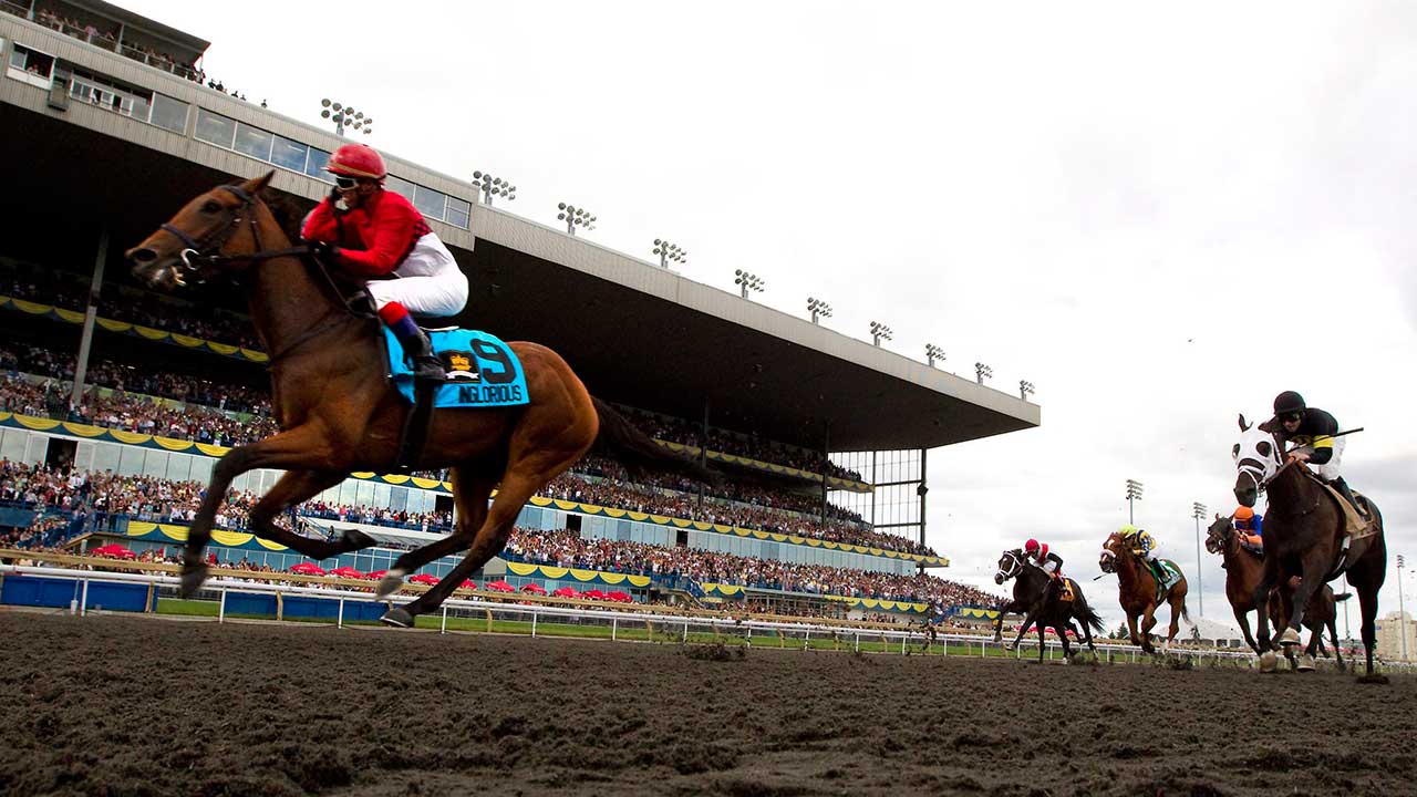 woodbine stretch
