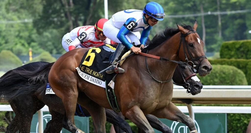 Book’em Danno Secures Back-to-Back True North Stakes Victories bookemdanno