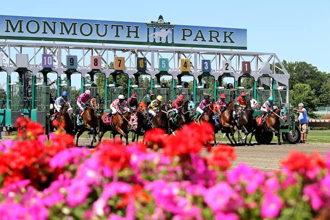 Quills Picks Winners – Saturday 6/13 – Monmouth Park Races 4-6 mth26 dirt flowers