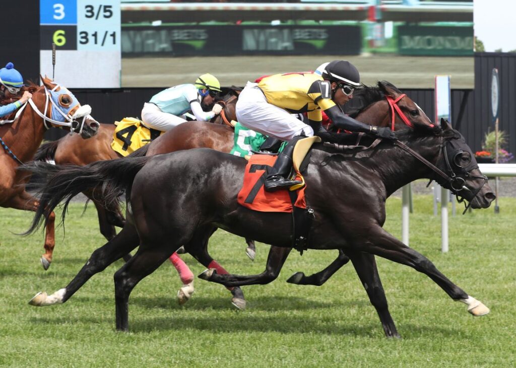 Quills Picks Winners – Saturday 6/13 – Monmouth Park Races 4-6 mth26 turf finish