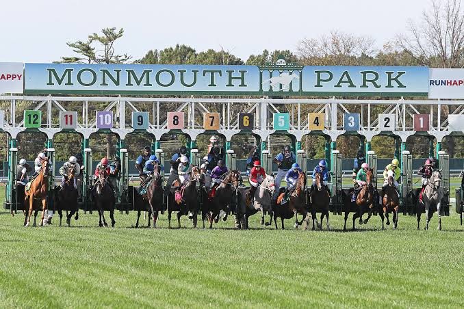 Quills Picks Winners – Saturday 6/13 – Monmouth Park Races 4-6 mth26 turf gate