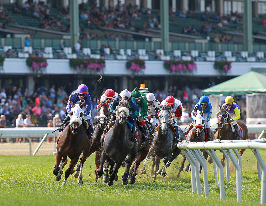 Quills Picks Winners – Saturday 6/13 – Monmouth Park Races 4-6 monmouth park in oceanport, new jersey. photo by bill denver/equi photo