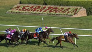 saratoga turf finish