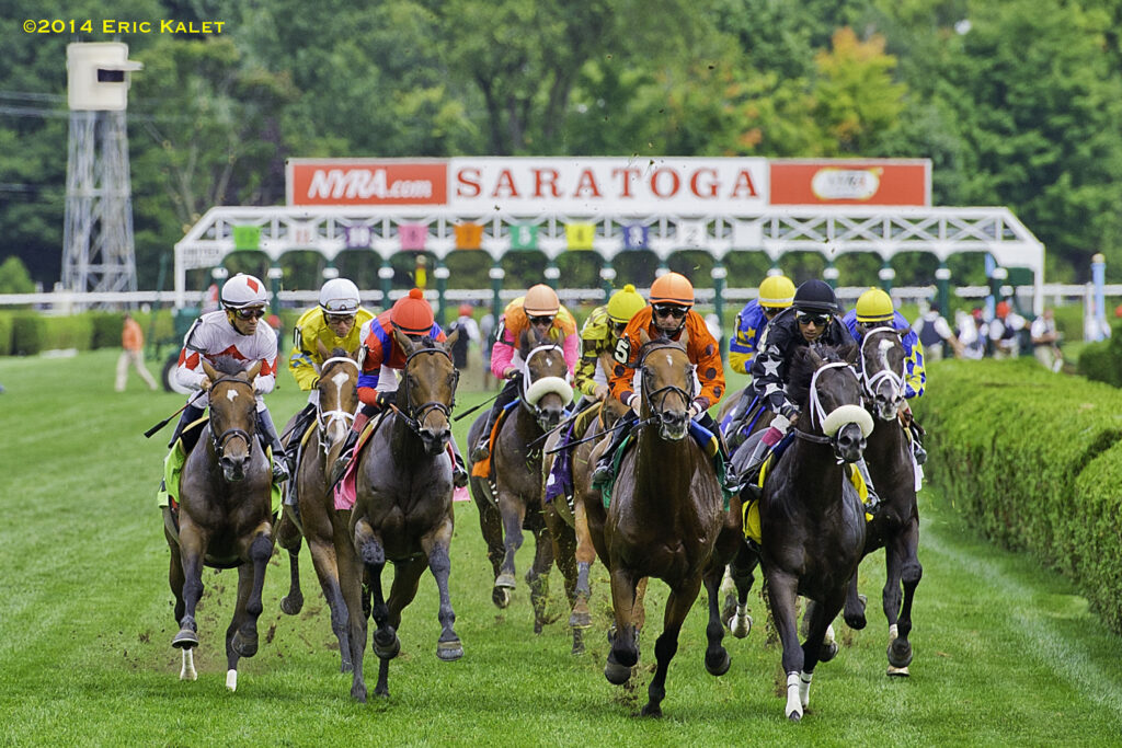 Quills Picks Winners – Sunday 6/7 – Saratoga Race 8 saratoga turf lane