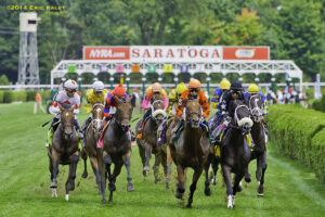 saratoga turf lane