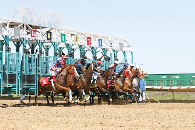 tdn26 gate1
