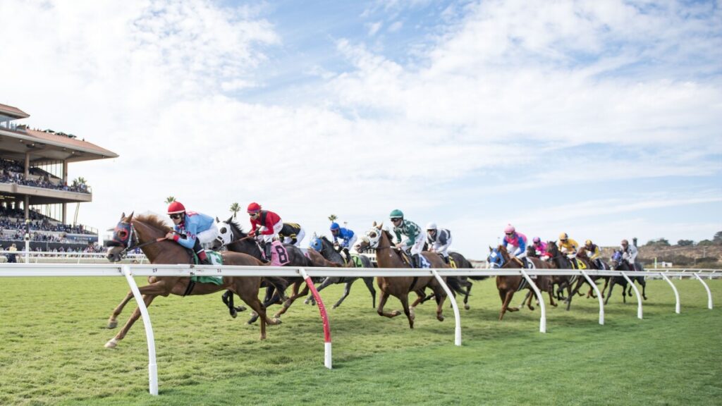 Quills Picks Winners – Friday 7/17 – Del Mar Race 8 dmr turf bend