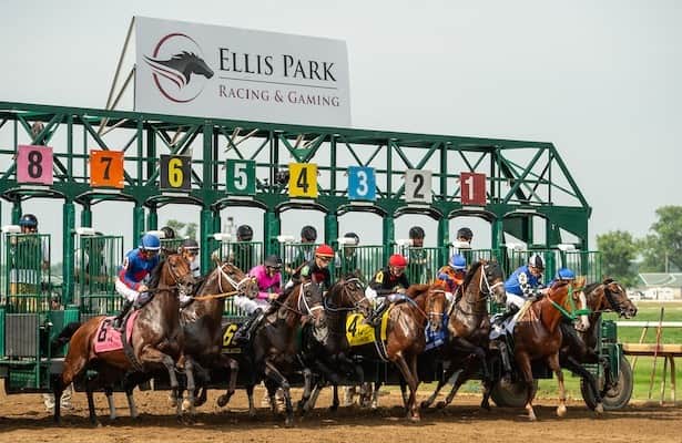 Quills Picks Winners – Monday 7/6 – Ellis Park Race 8 elp gate main