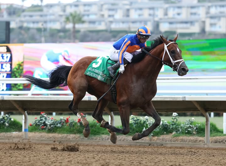 Journalism Retired After Courageous Final Victory, Bound For Ashford Stud journalism dmr