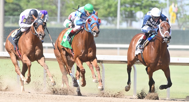 Quills Picks Winners – Saturday 7/11 – Prairie Meadows Races 7 & 8 prm stretch