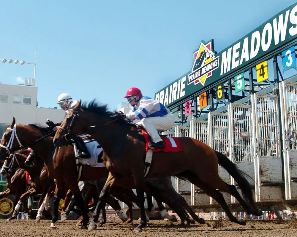 Quills Picks Winners – Saturday 7/11 – Prairie Meadows Races 7 & 8 prm26 gate