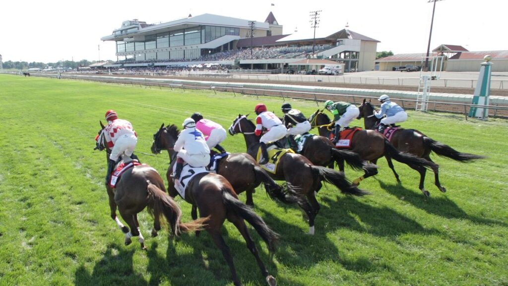 Quills Picks Winners – Thursday 8/20 – Canterbury Park Race 4 cby26 turf start