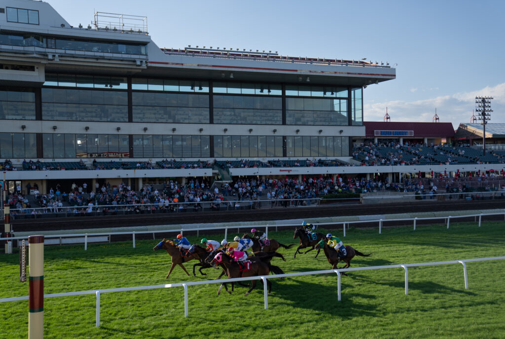 Quills Picks Winners – Thursday 8/20 – Canterbury Park Race 4 cant051922
