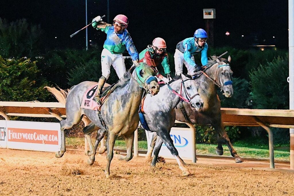 Quills Picks Winners – Friday 8/28 – Charles Town Race 11 ct26 3 horses