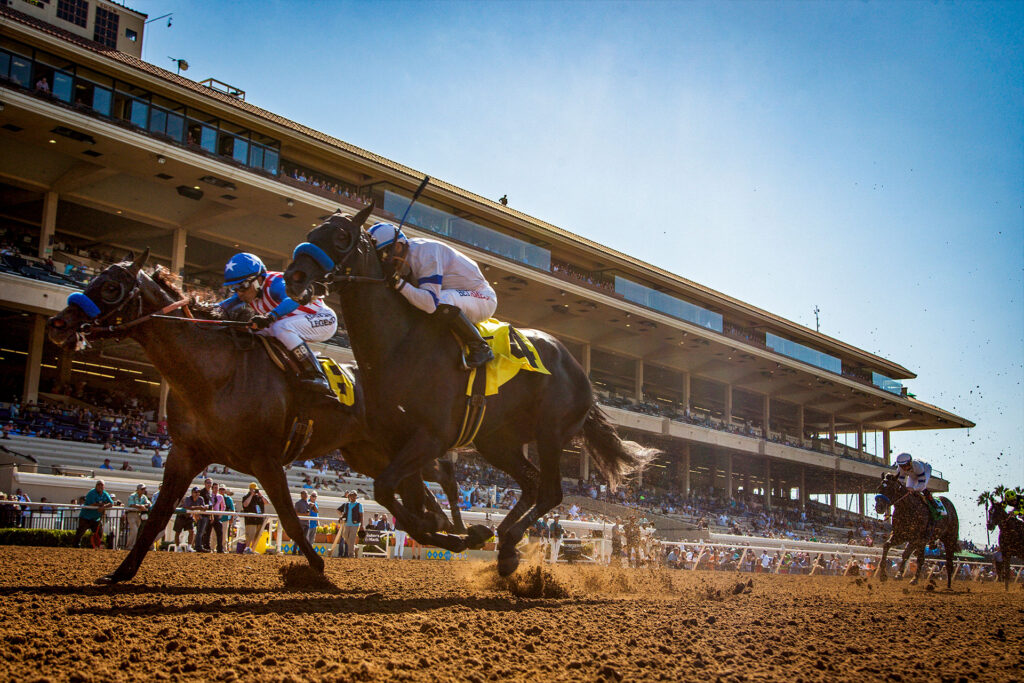 Quills Picks Winners – Saturday 8/22 – Del Mar Races 10 & 11 delmar dirt finish